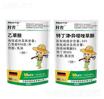 900��/���Ҳݰ�+55%�ض��򡤮��f���ͪ-��ʡ-�f��