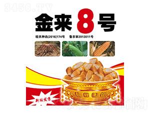 金來8號(hào)-合豐種業(yè)