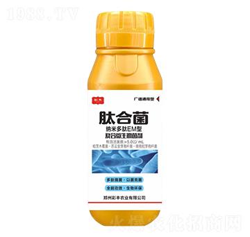 �ͺ�΢�������-�ĺϾ�-���S�r(n��ng)�I(y��)