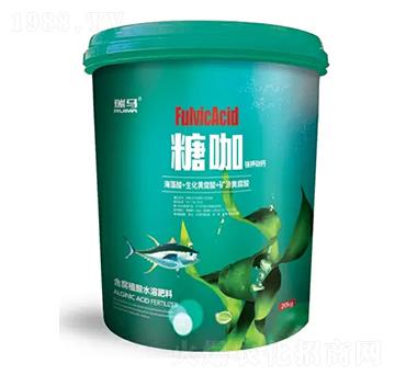 ����ֲ��ˮ�ܷ���-�ǿ�-�̶�����