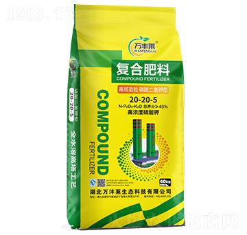 �����������������͏�(f��)�Ϸ���20-20-5-�f(w��n)�S�R-�Dؐ