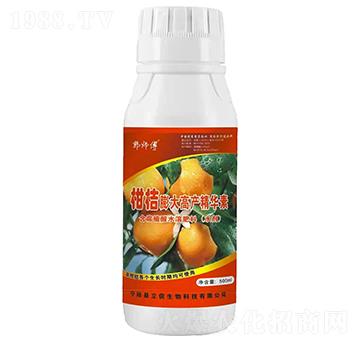 �̽����߮a���A��-������-��������