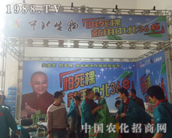 �������������б�36E