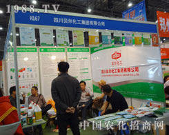 �Ĵ�ؐ��������ُB�T�r�Y��