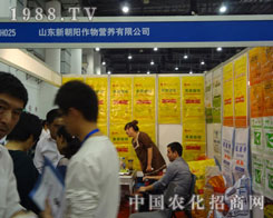 ɽ�|�³��(y��ng)�A���F(xi��n)��2011��ֲ����(hu��)