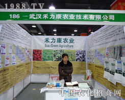 ��h�������r�I(y��)�ںӱ�ʡֲ��������������