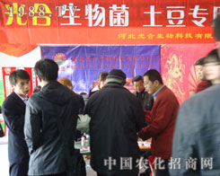 �������������ӱ��������