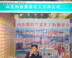 ɽ�|ꖹ���ʢ�����ں��Ϸ����p��������