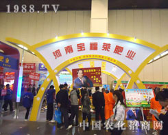 �S���Ќ����R�ʘI(y��)����ԭ�����p����(hu��)����