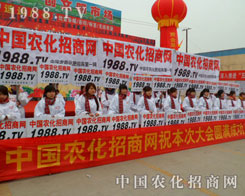 �r(n��ng)�����̾W(w��ng)ȫ���Ը��ľ���l(f��)�P�ĺ������죡