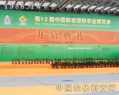 ʢ�b����ĵ�ʮ�����½��r(n��ng)�I(y��)���[���_Ļ��Y�_