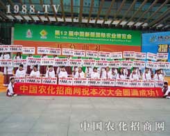 ��(ji��n)���l(f��)չ������r(n��ng)���W(w��ng)������V韵�����