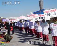 �����F(tu��n)ꠂ��e�O��Ͷ�뵽����������