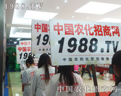 2013���շ��Ͻ��ו������r���W����Ӱ���㲻�ª�