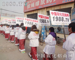 2013����f�r(n��ng)�Yչ�r(n��ng)�����̾W(w��ng)��(zh��n)ʿ���r�����(sh��)���l(f��)