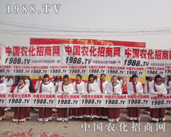 ������ס���̾W(w��ng)����I(y��)����t�t���