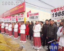 �r(n��ng)�����̾W(w��ng)���yɫ�L(zh��ng)���o(w��)�ȷǷ�