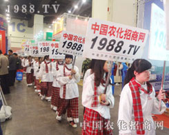 ������2013���Ϸ��Ͻ��ו�