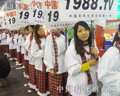 �^��ƴ����2013���ϕ�