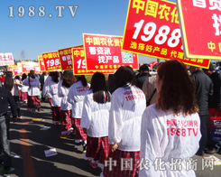 1988.TV��2014�����L�����ϕ��ϴ����ƏV