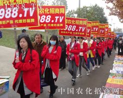 1988.TV�e�O���ӺϷ�ֲ����(hu��)