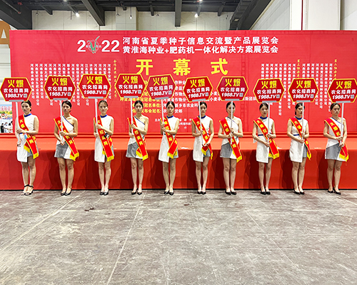 �����]�����Ĵ������������L�ɱM�@��