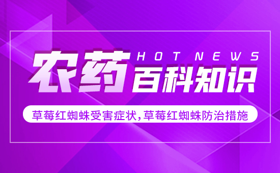 ��ݮ�t֩���ܺ��Y������ݮ�t֩����δ�ʩ