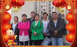 ���������B(t��i)��ף��(j��ng)�N���������µ�һ���������³�������������