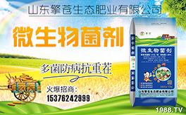 �����n���B(t��i)����ף���Ͽ͑��i���д��\(y��n)��ؔ(c��i)Դ�L�L����