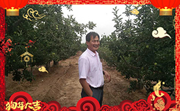 ������ʘI(y��)��ף���Ѻ��¶����Ц�ݶ����