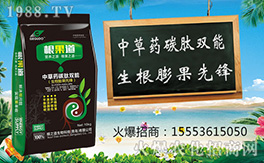 �����u��֮����ףԸһ·�������т����w�������i�꼪����