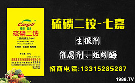 ���߼��r(n��ng)�I(y��)��ף������µ�һ�������w�������f�����⣡