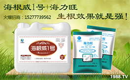 ��Ӣ���W�ʩ��ף���g�gϲϲӭ�i�����f������ƽ������