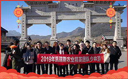 ���P��˹�r(n��ng)�I(y��)��ף������µ�һ�������w���������������