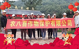 �������r(n��ng)��ϲ��ף�������µ�һ�����_��󼪣��f��������