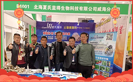 �����������{�á���ף���Ͽ͑������д��\��ؔԴ�L�L���������³ɣ�