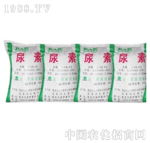 �����-����