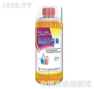 �f�S�r(n��ng)��-��(x��)��������