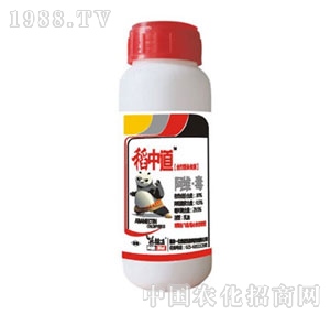 �Ͼ�һ��-���е�