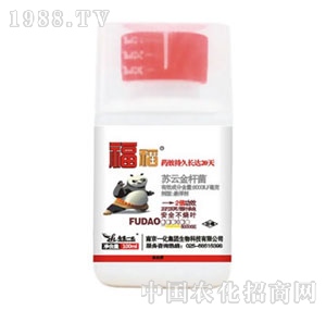 �Ͼ�һ��-����