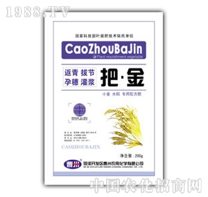 �����r(n��ng)��-�ѽ�