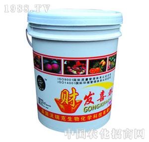 �����-��ϲ�l(f��)ؔ(c��i)