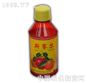 �G�S����-50%˹ِ������