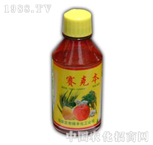 �G�S����-50%ِ�˱�����