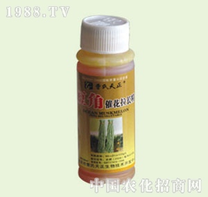 �̴T�S-���Ǵ߻����L��