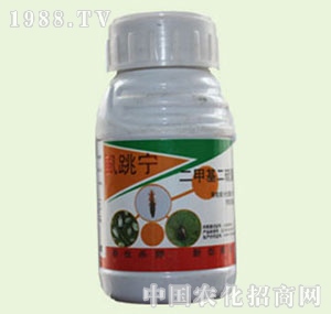 �̴T�S-ʭ����