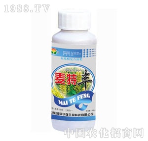 ���A��(qi��ng)-�����S