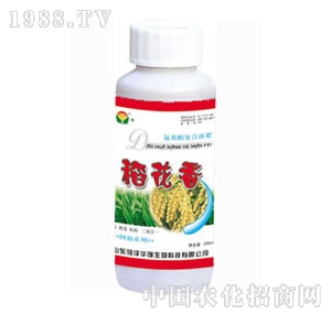 ���A��(qi��ng)-������