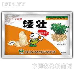 ���A��(qi��ng)-����