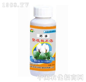 ���A��(qi��ng)-������֦�Ҳ���